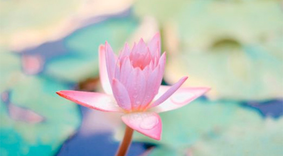 yoga, meditación, lifestyle