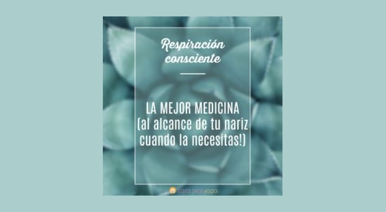 yoga, meditación, lifestyle